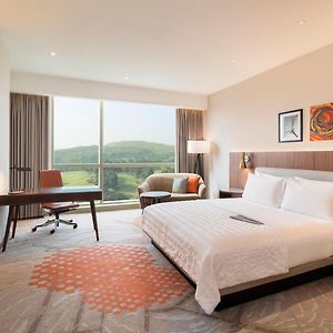 1 King Bed Guest Room